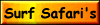 Surf safaris