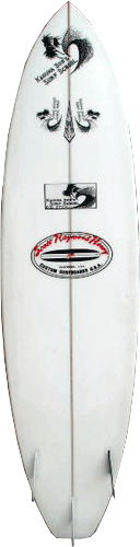 Custom "EZ Styx" Longboard (bottom)